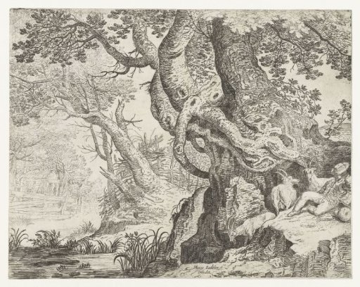 Sleeping Shepherd Near A Large Tree