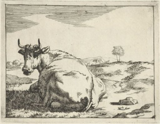 Reclining Cow