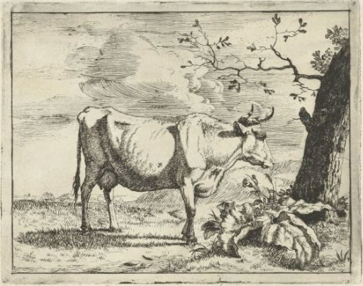 Standing Cow by Tree