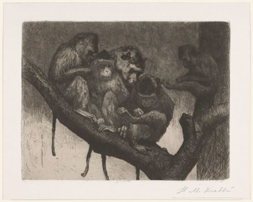 Five monkeys in a tree