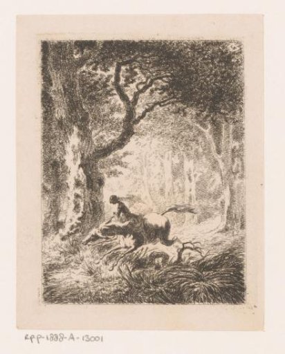 Woman on horseback in a wood