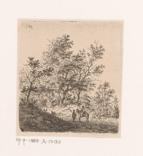 Wooded landscape near Beert