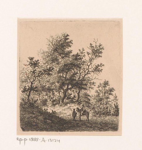 Wooded landscape near Beert