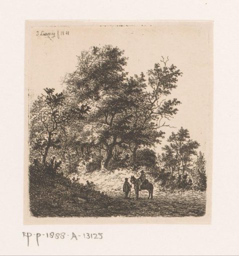Wooded landscape near Beert