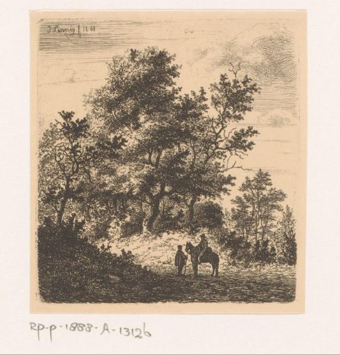 Wooded landscape near Beert