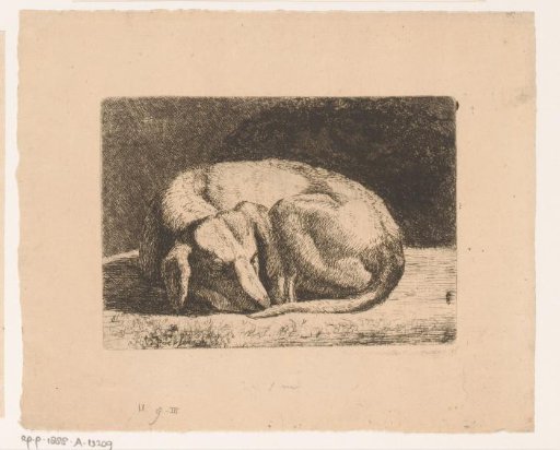 Sleeping dog