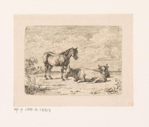 Two cattle