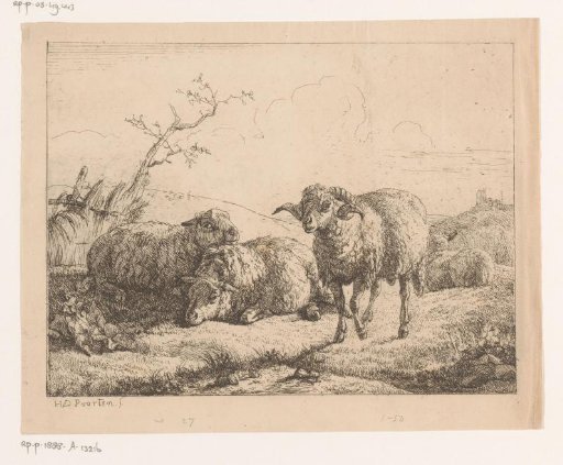 Landscape with three sheep and a ram