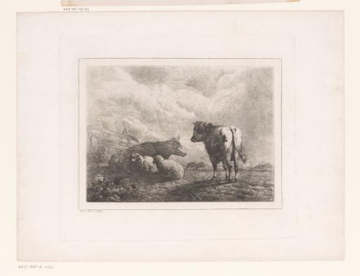 Landscape with cattle