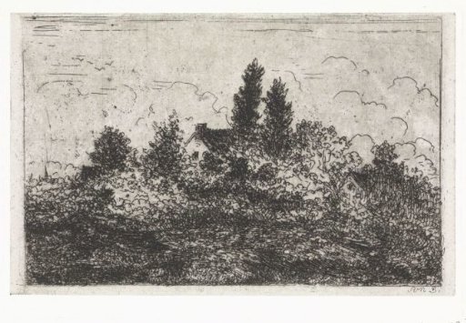 House amidst trees