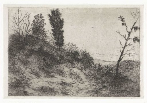 Dune landscape