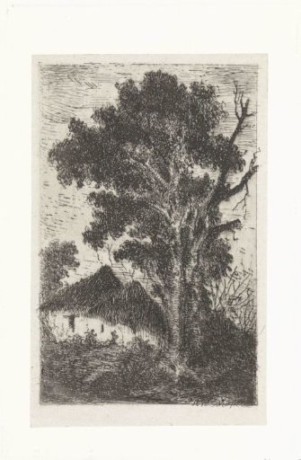 Thatched huts under a large tree