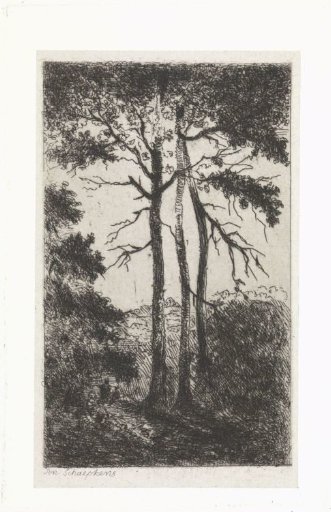 Three trees in a landscape