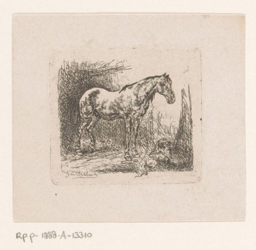 Horse And A Dog
