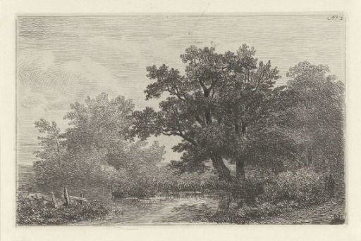 Trees by a pond