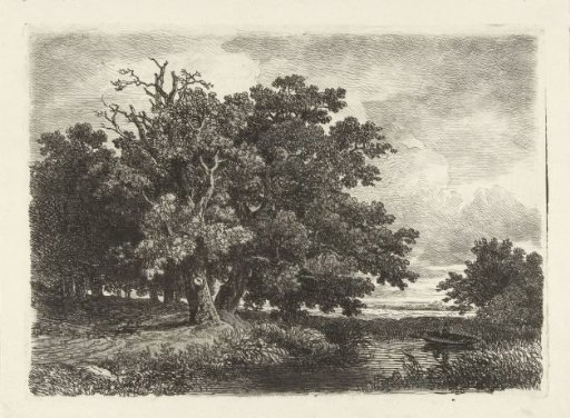 Trees by a pond with a small boat