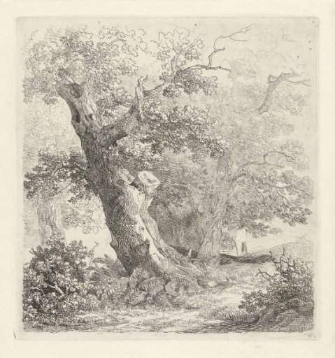 Tree in a landscape