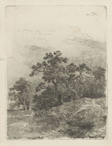 Forest View with a pond