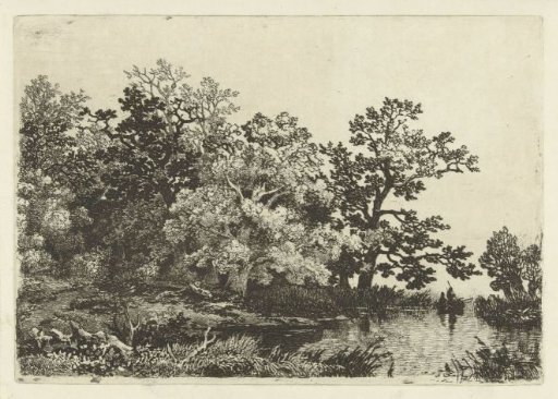 Trees by a pond