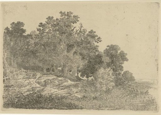 Forest View