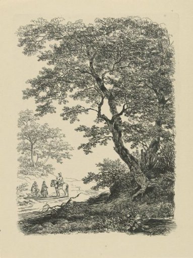 Travellers on a forest path