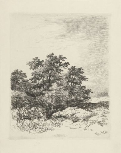Landscape with trees