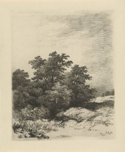 Landscape with trees