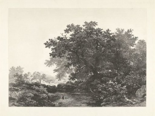 View in the Bakony forest