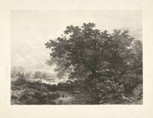View in the Bakony Forest