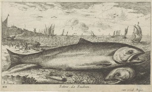 Two salmon on the beach