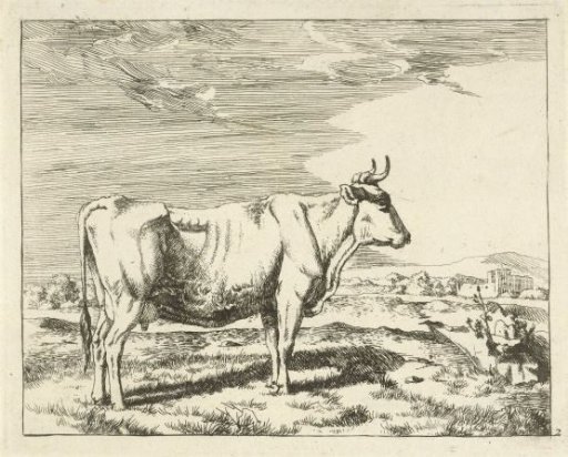 Standing cow, to the right