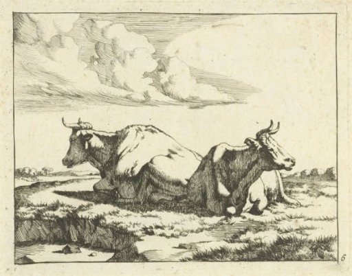 Two lying cows
