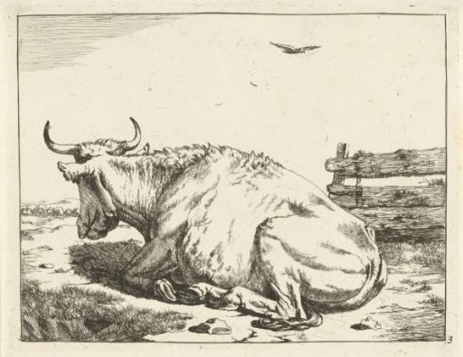 Cow lying by a fence