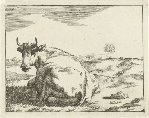 Reclining Cow