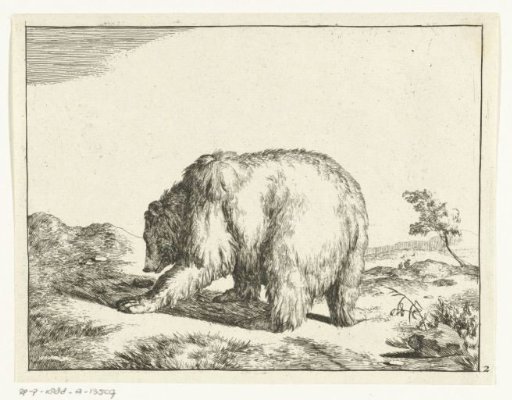 Standing bear, seen from the back