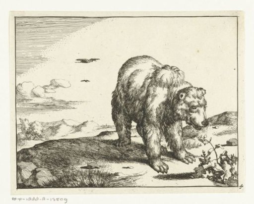 Standing bear near a plant