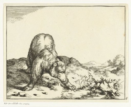 Standing bear, from the front, forepaws wide apart