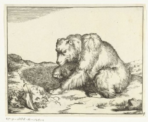 Sitting bear, in profile