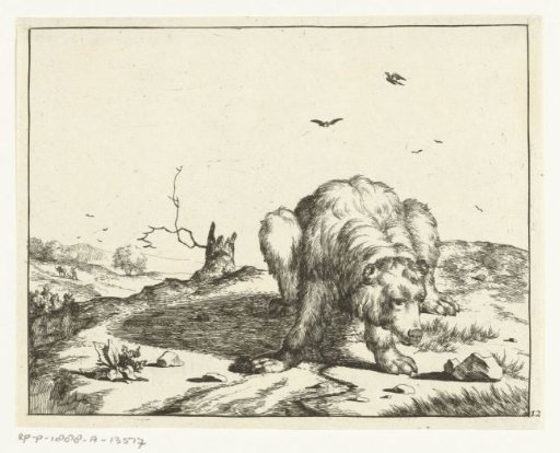 Crouching bear, near a tree stump