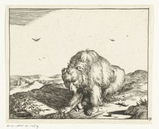 Sitting bear seen from the front
