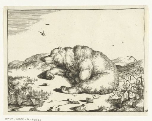 Sleeping bear, lying on its side