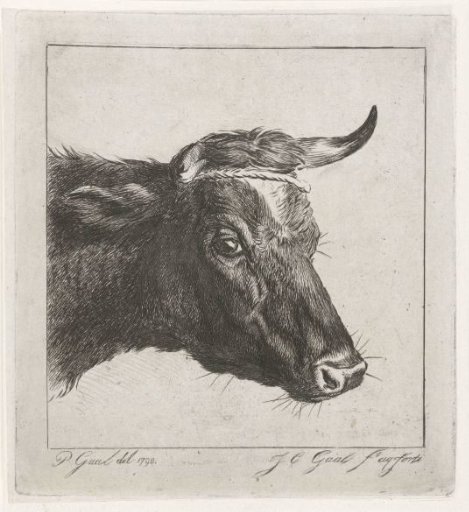 Head of a cow with rope around the horns