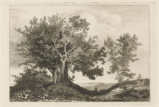 Country road between two groups of trees