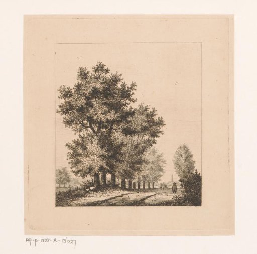 Avenue in the polder near Merksem