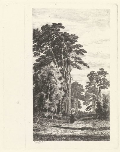 Pine Avenue