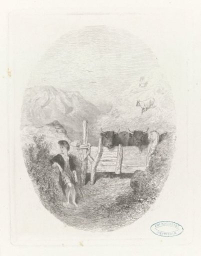 Scottish Shepherd