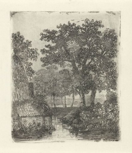 Wooded area with streams