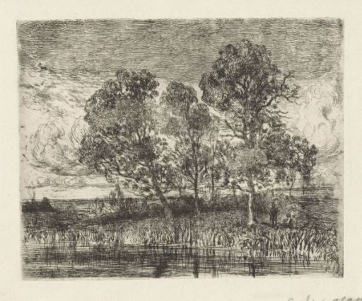 Three Trees on a Bank