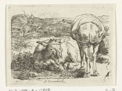 Two donkeys