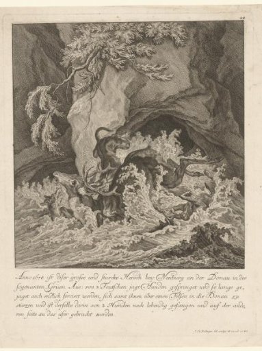 A stag plunging with three hunting dogs into a river